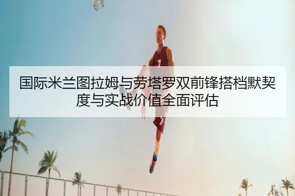 国际米兰图拉姆与劳塔罗双前锋搭档默契度与实战价值全面评估
