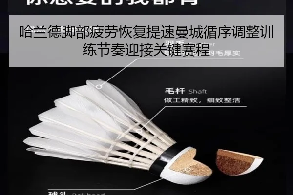 哈兰德脚部疲劳恢复提速曼城循序调整训练节奏迎接关键赛程